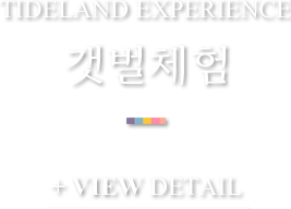 갯벌체험
